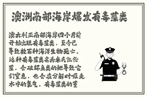 授课方式by肉馅小水饺视频